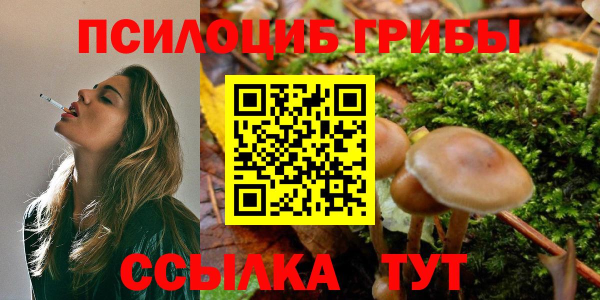 Псилоцибиновые грибы мухоморы  Галлюциногенные грибы Cubensis  Вход с VPN  Ярцево 