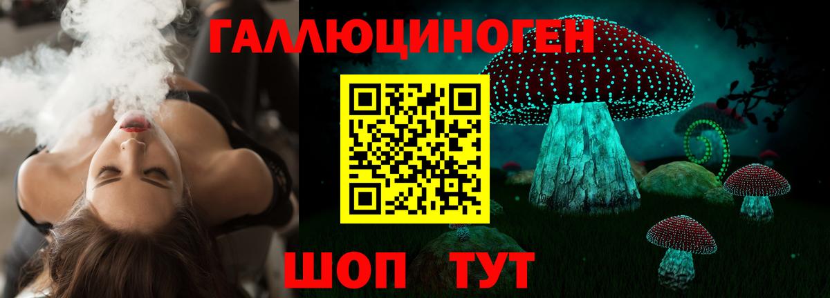 Галлюциногенные грибы Psilocybine cubensis Ярцево